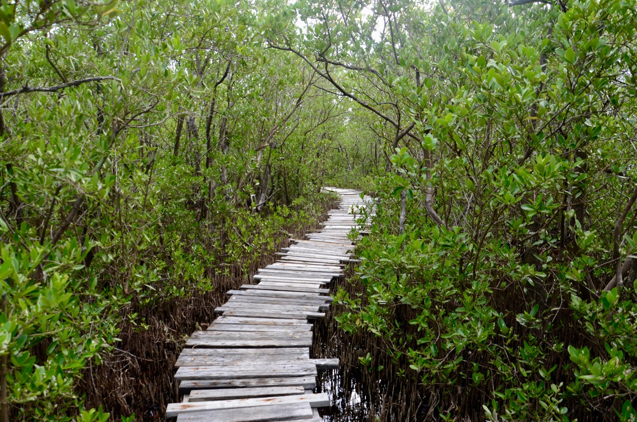 Marco Gonzalez Trail