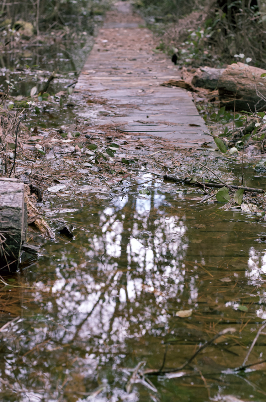 Flooded path