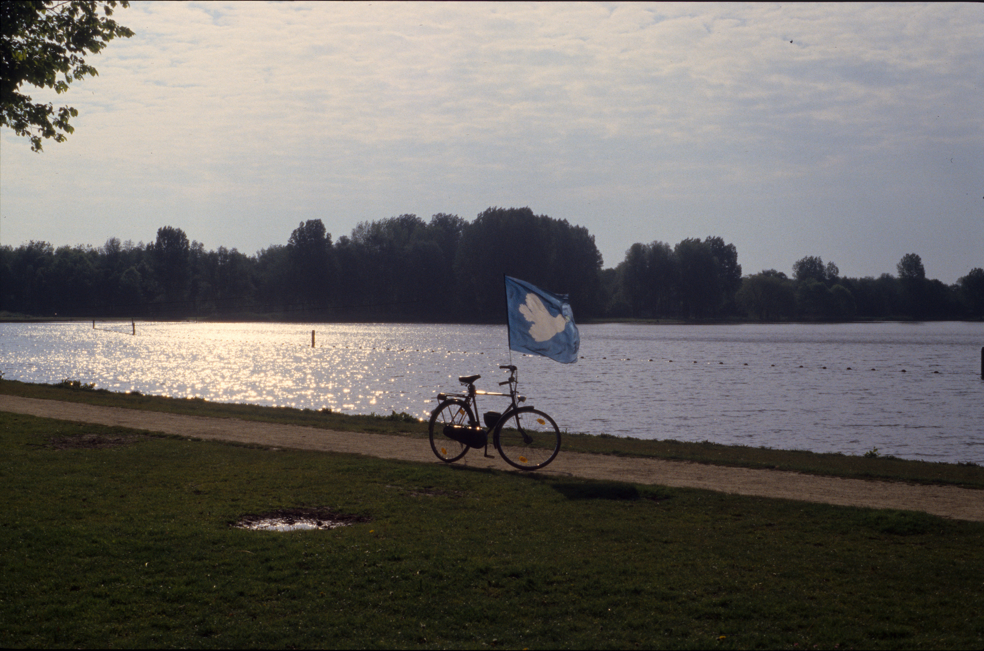 Walk_Bike