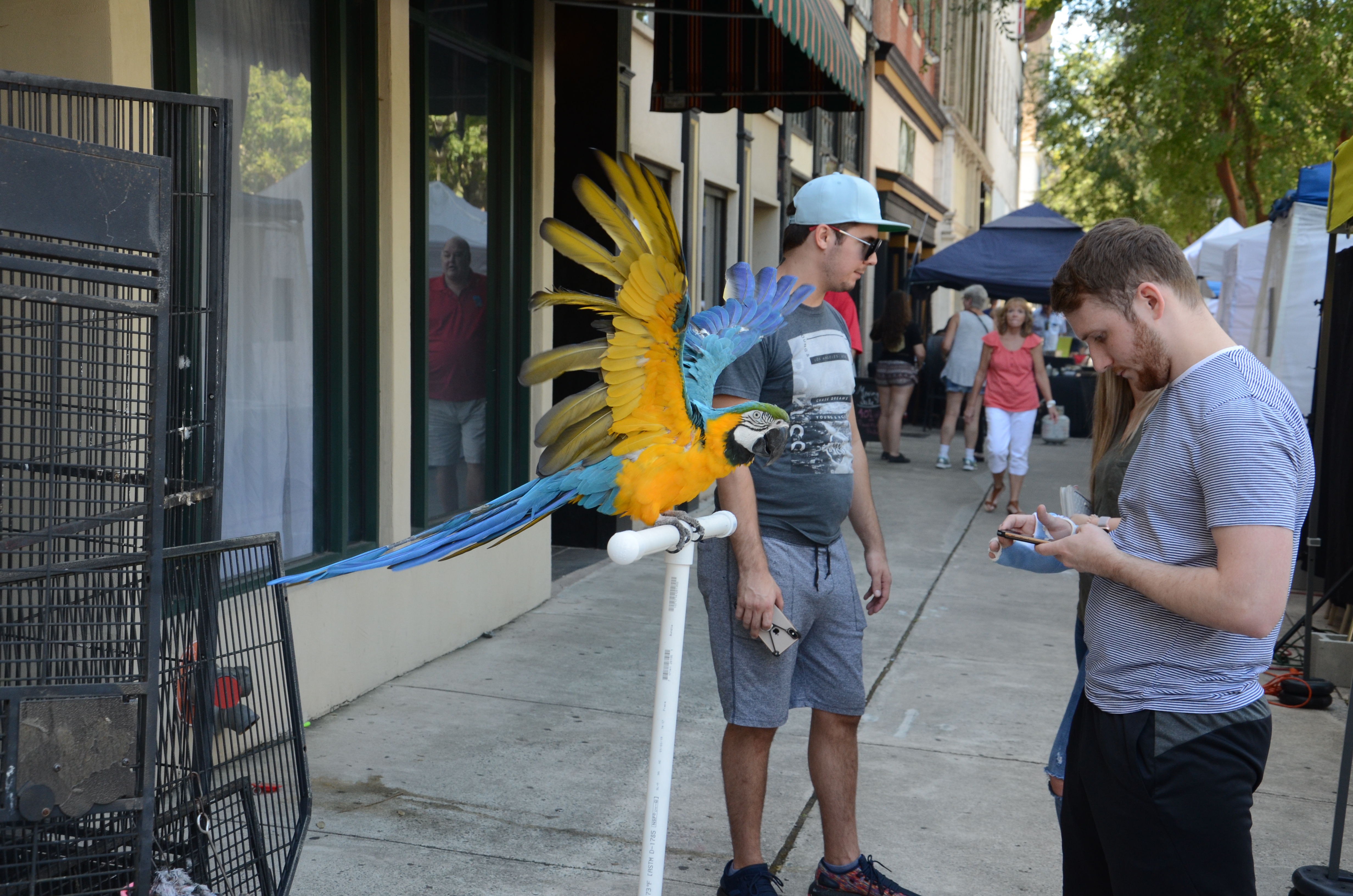 Arts in the Heart 2019 - 33 of 73
