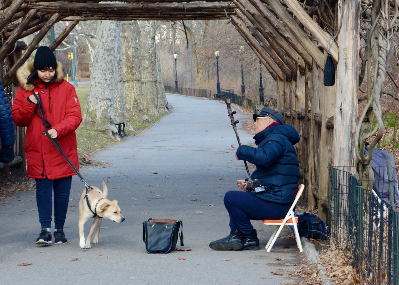 Musician in Central Park on a cold afternoon, playing a traditional Chinese Banhu