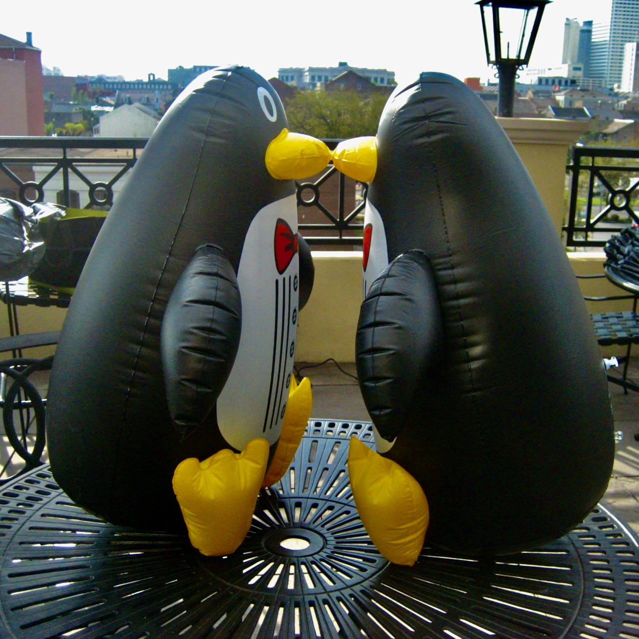 KissingPengiuns