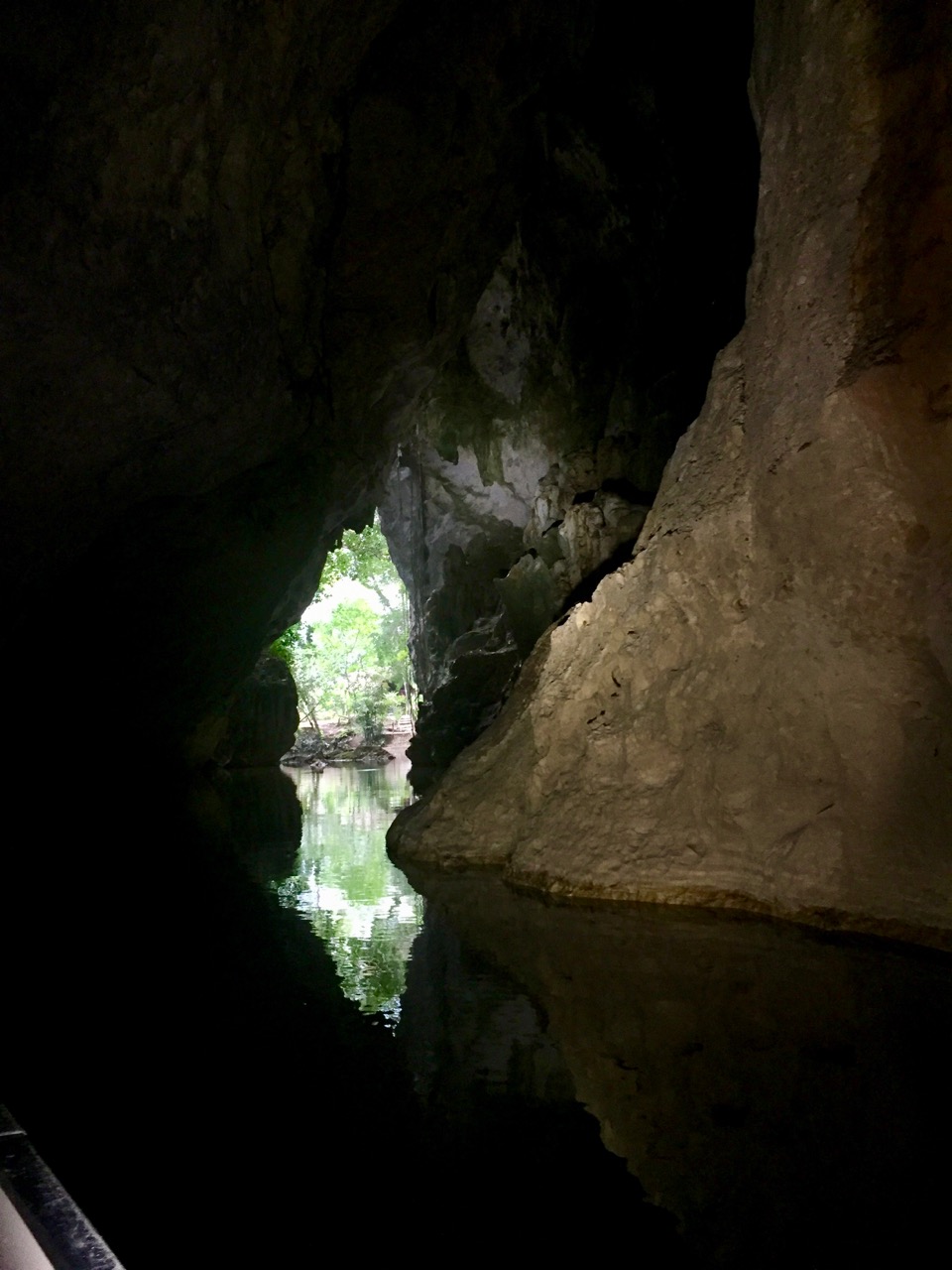 A river floating out of a cave.