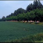 A group of marchers walking along the edge of a large green field.